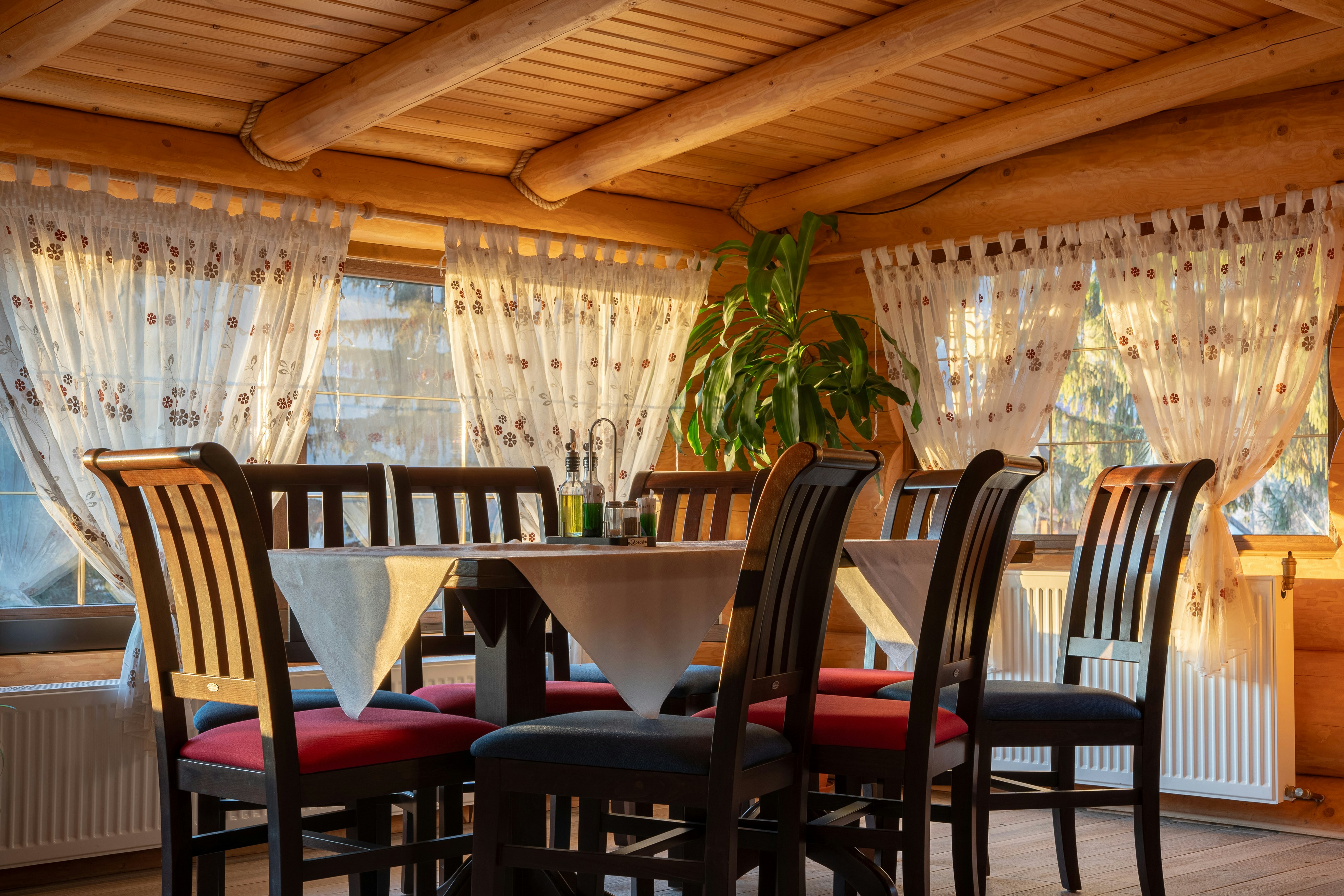 a dining room with a table and chairs and a potted plant